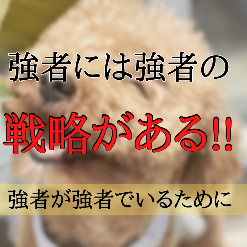 強者には強者の戦略がある!強者が強者で居続けるための戦い方!